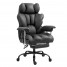 Panana Padded Seat Luxury Office Chair