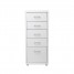 5-Drawer Steel Filing Cabinet with Castors 5-Drawer Steel Filing Cabinet with Castors