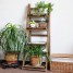 4 Tiers Solid Wood Garden Ladder Shelves
