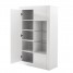 Sideboard Storage Cupboard High Gloss Front Cabinet RGB Multicolor LED Lighting with Door and Glass Shelves