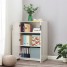 Wooden Office Filing Cabinet with 2 Adjustable Shelves