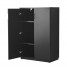 Wooden Office Filing Cabinet with 2 Adjustable Shelves Wooden Office Filing Cabinet with 2 Adjustable Shelves