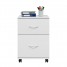 Mobile Rolling File Cabinet